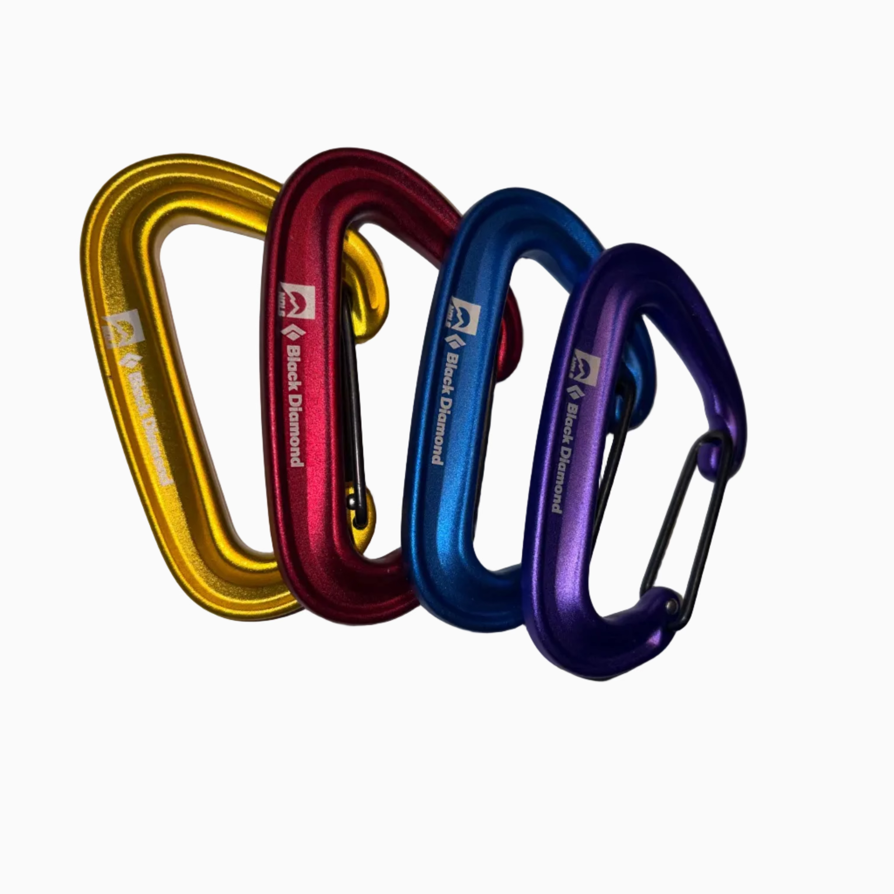 NOLS X Black Diamond Wire Carabiner